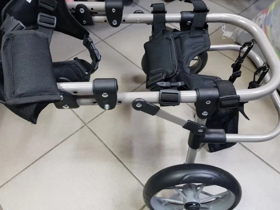 Jak zrobić wózek inwalidzki dla kota - prosty sposób na komfort zwierzaka